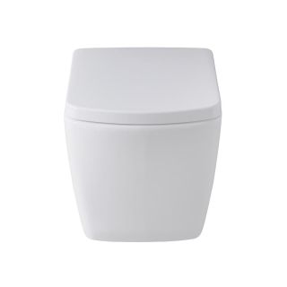 Подвесной унитаз Allen Brau Liberty 4.33004.20 белый