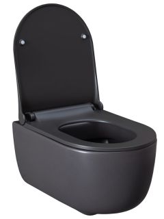 Подвесной унитаз Allen Brau Priority 4.31002.AN антрацит