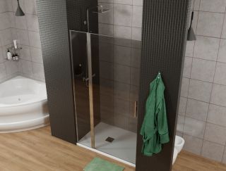 Душевая дверь Allen Brau Priority 3.31001.00G профиль хром