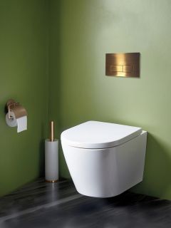 Кнопка смыва AltroBagno Beni aggiuntivi PFP 002IQ золото