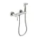 Гигиенический душ со смесителем Raglo R20.51.05 сатин