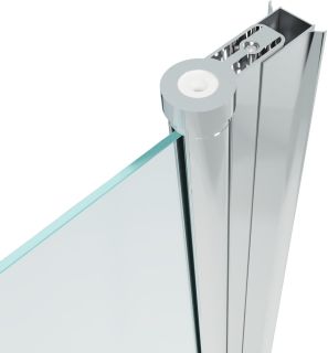 Душевая дверь Triton Уно Щ0000036859 100 см