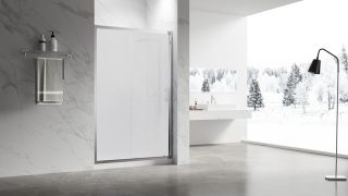 Душевая дверь Veconi Vianno VN-55M, 1100x1950, Хром, стекло матовое